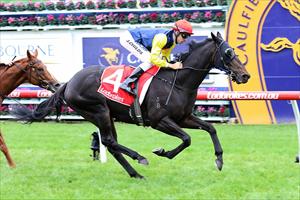 Swansong for stable favourite